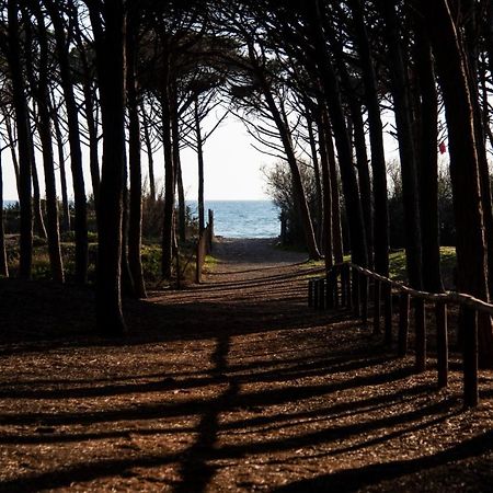 Appartamento Il Bucaniere A Marina Di Cecina Dış mekan fotoğraf