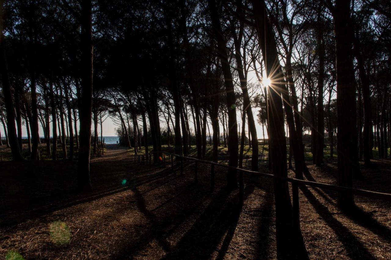 Appartamento Il Bucaniere A Marina Di Cecina Dış mekan fotoğraf